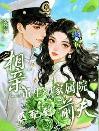 重生80家屬院，相親匹配到前夫