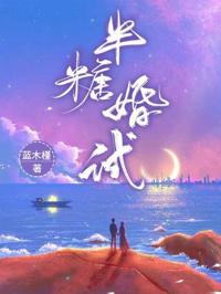 半糖婚試