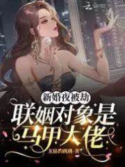新婚夜被劫，聯姻對象是馬甲大佬