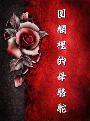 圍欄裡的母駱駝