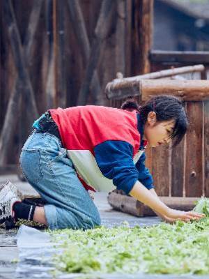 重生之星運歸來