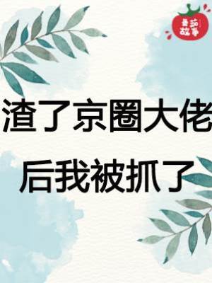渣了京圈大佬后我被抓了