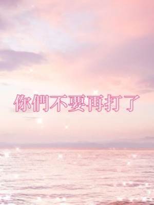 你們不要再打了
