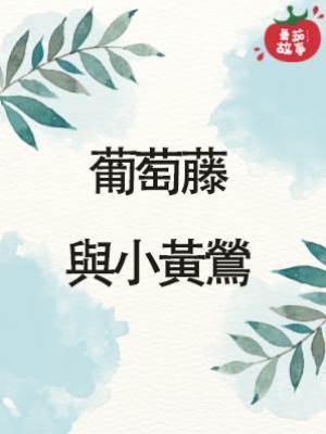 葡萄藤與小黃鶯