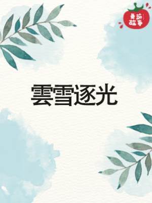 雲雪逐光