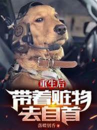 重生后帶著贓物去自首