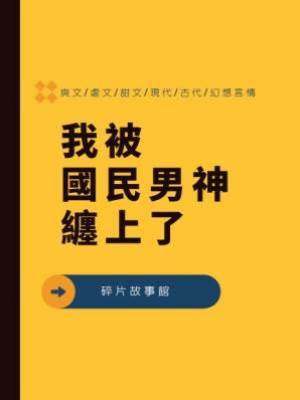 我被國民男神纏上了