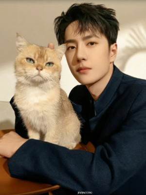 男友的貓精情人