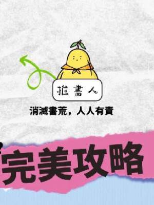 完美攻略