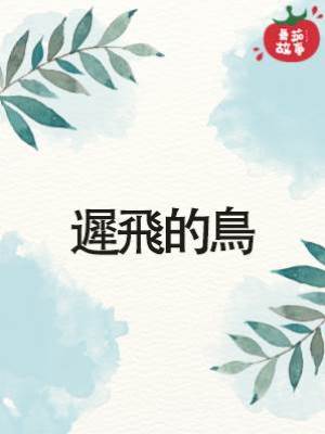 遲飛的鳥