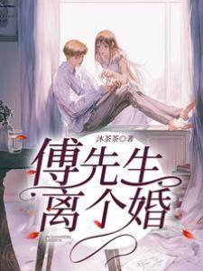 傅先生，離個婚