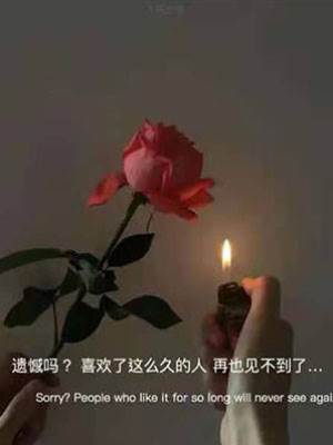 弟弟的屬性有點野