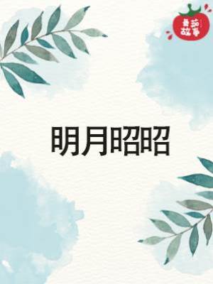 明月昭昭