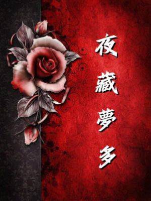 夜藏夢多