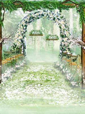 重生后我移情別戀了