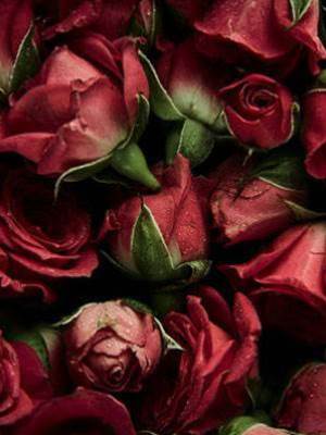 最美的不是下雨天