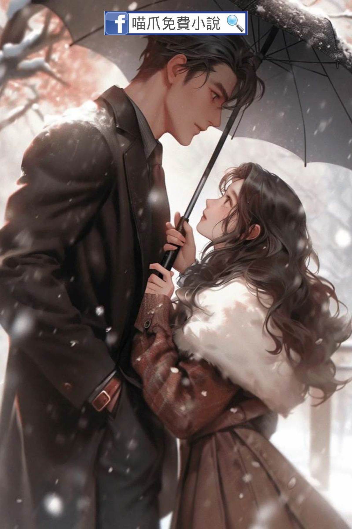 隱婚試愛之陸總寵妻如命