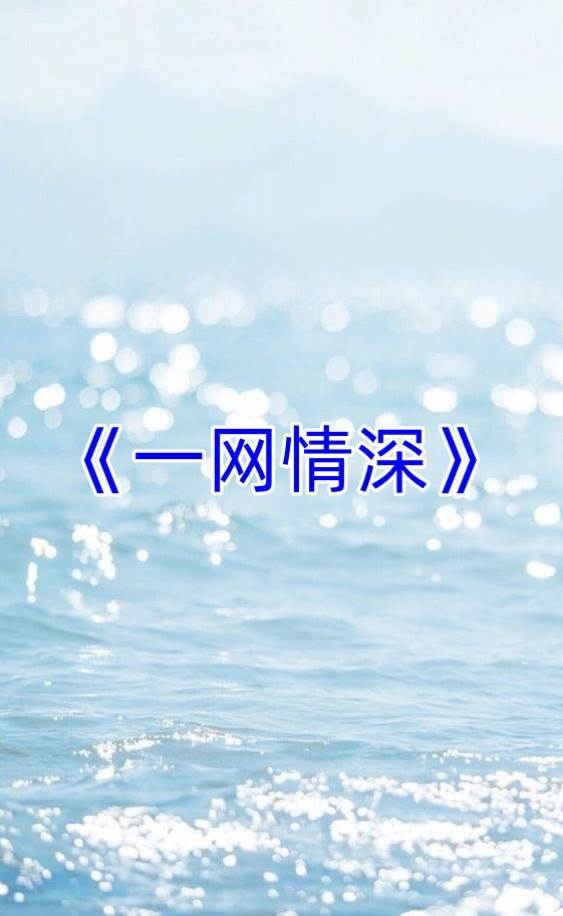 一網情深