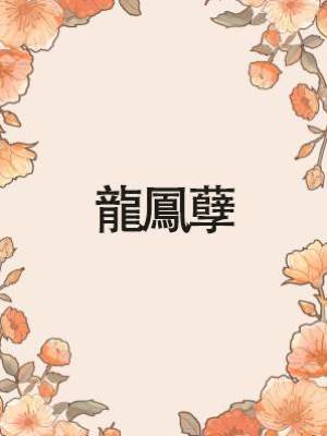 龍鳳孽
