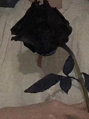 接娃路上撿到前男友怎麼破