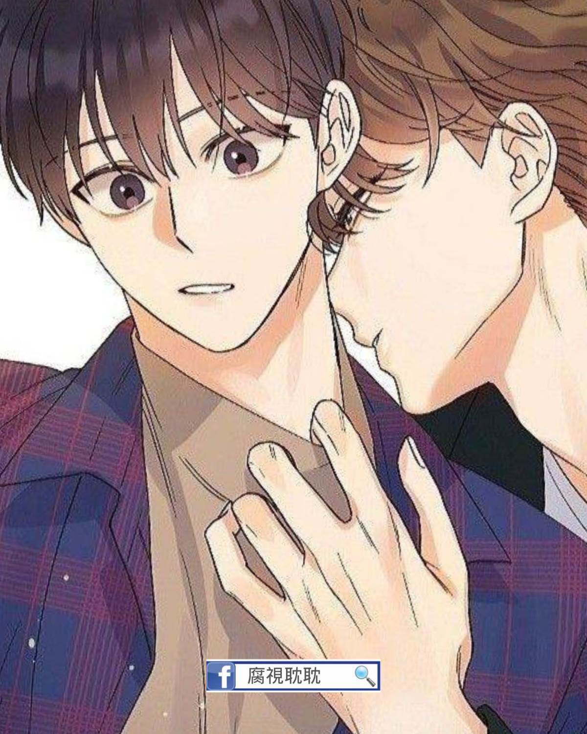 你們城里人管這叫舍友