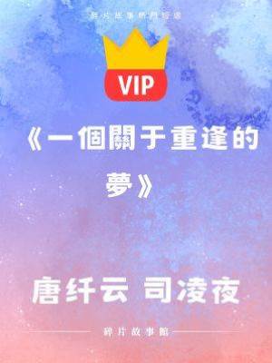 《一個關于重逢的夢》唐纖云 司凌夜