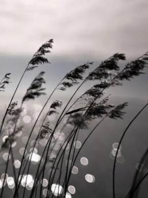 茍住！活著就好