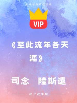 《至此流年各天涯》司念  陸斯遠