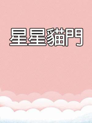 星星貓門