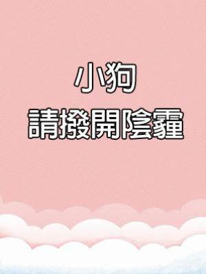 小狗請撥開陰霾