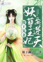 傻王寵妻：妖孽王妃要逆天