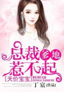 天價寶寶：總裁爹地惹不起