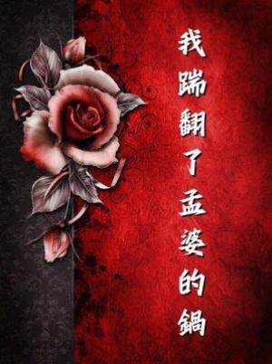 我踹翻了孟婆的鍋