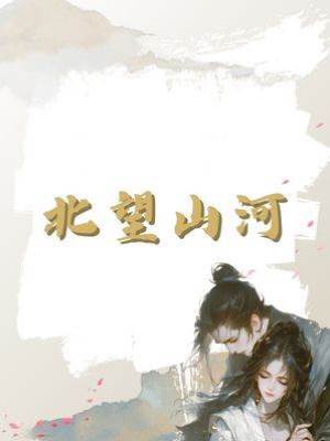 北望山河