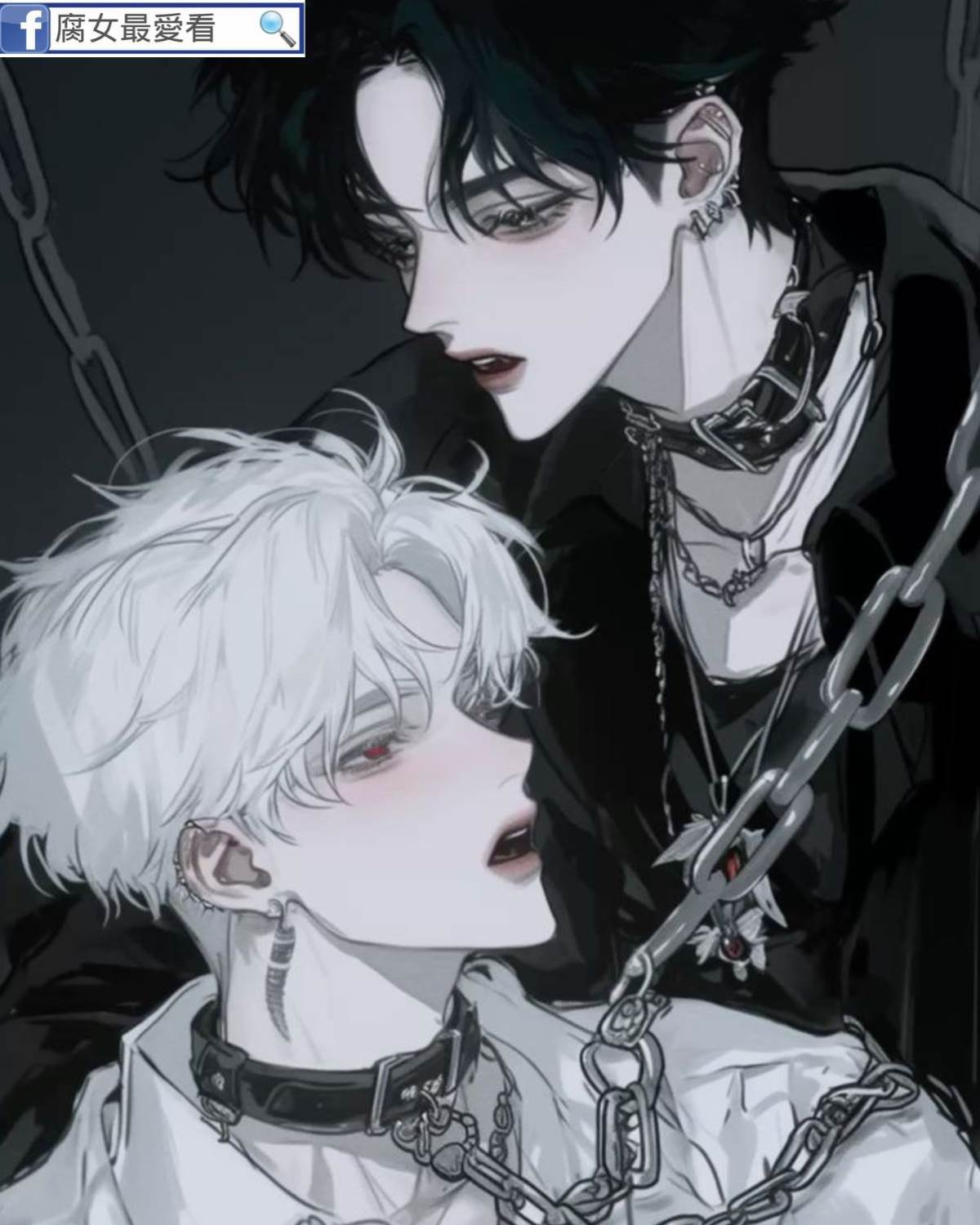 我買的小狗他很頂