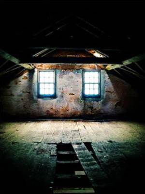 雙煞兇宅：生人勿入