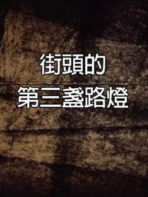 街頭的第三盞路燈