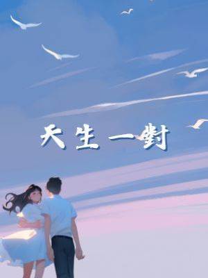 天生一對