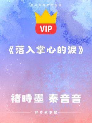 《落入掌心的淚》褚時墨 秦音音