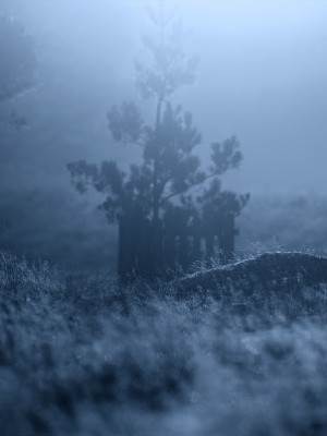 往前跑，別回頭