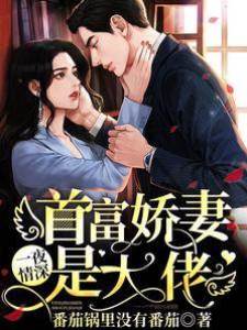 一夜情深：首富嬌妻是大佬