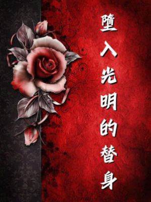 墮入光明的替身