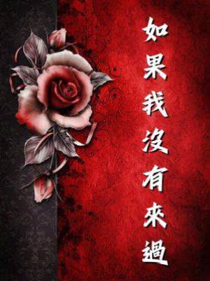 如果我沒有來過