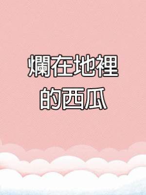 爛在地裡的西瓜