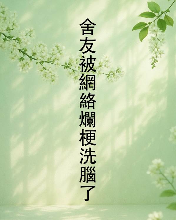 舍友被網絡爛梗洗腦了