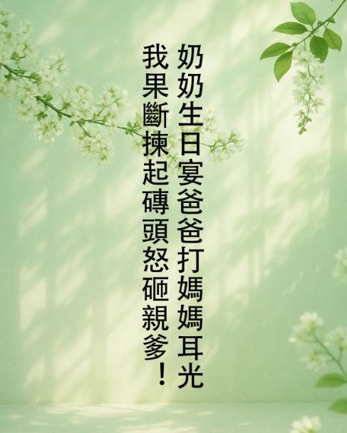 奶奶生日宴爸爸打媽媽耳光，我果斷揀起磚頭怒砸親爹！