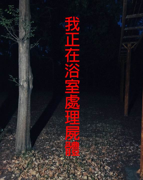 我正在浴室處理屍體