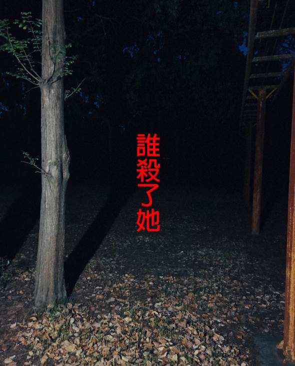誰殺了她（林初八）