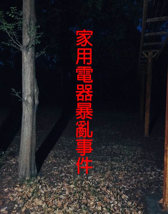 家用電器暴亂事件