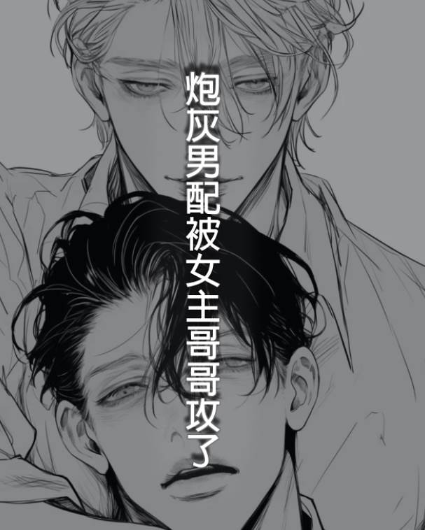 炮灰男配被女主哥哥攻了